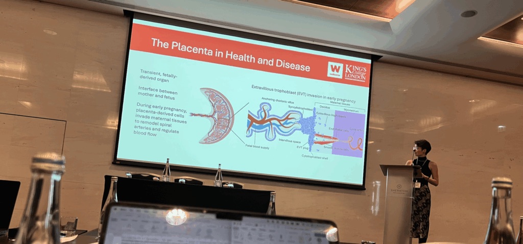 FASEB — "Mobile DNA: Mechanisms and Health Impact"